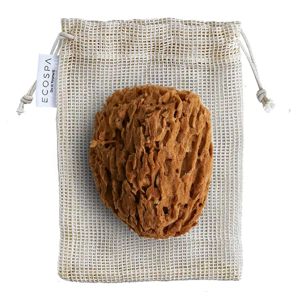 Naturalna gąbka morska Honeycomb: średnia 13 - 14 cm