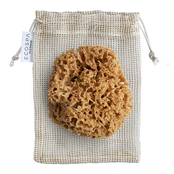 Naturalna gąbka morska Honeycomb: duża 15 - 16 cm