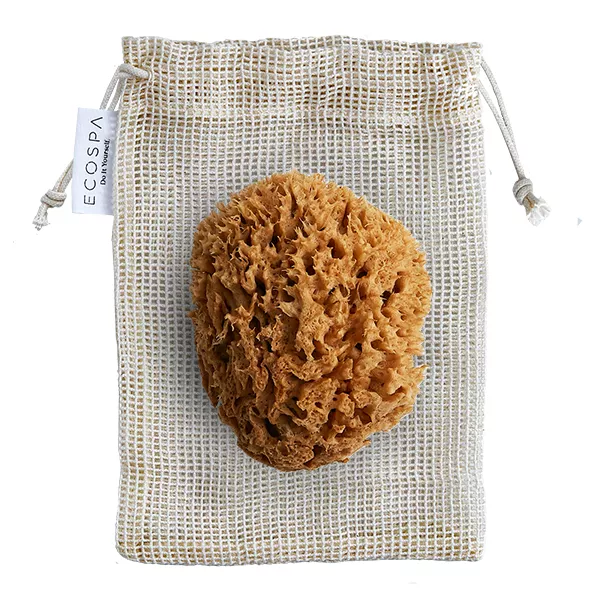 Naturalna gąbka morska Honeycomb: mała 12 - 13 cm