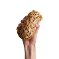 Naturalna gąbka morska Honeycomb: średnia 13 - 14 cm