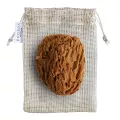 Naturalna gąbka morska Honeycomb: średnia 13 - 14 cm