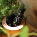 Ekstrakt CO2 z oregano