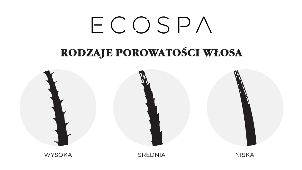 rodzaje porowatości włosów